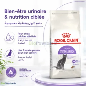 Croquettes Royal Canin Chat Stérilisé 37