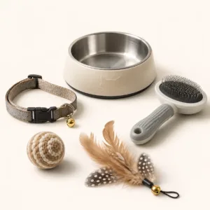 Accessoires Pour Chat