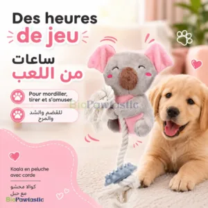Jouet pour Chien Koala en Peluche avec Corde – Jouet à Mâcher, Tirer et S’amuser